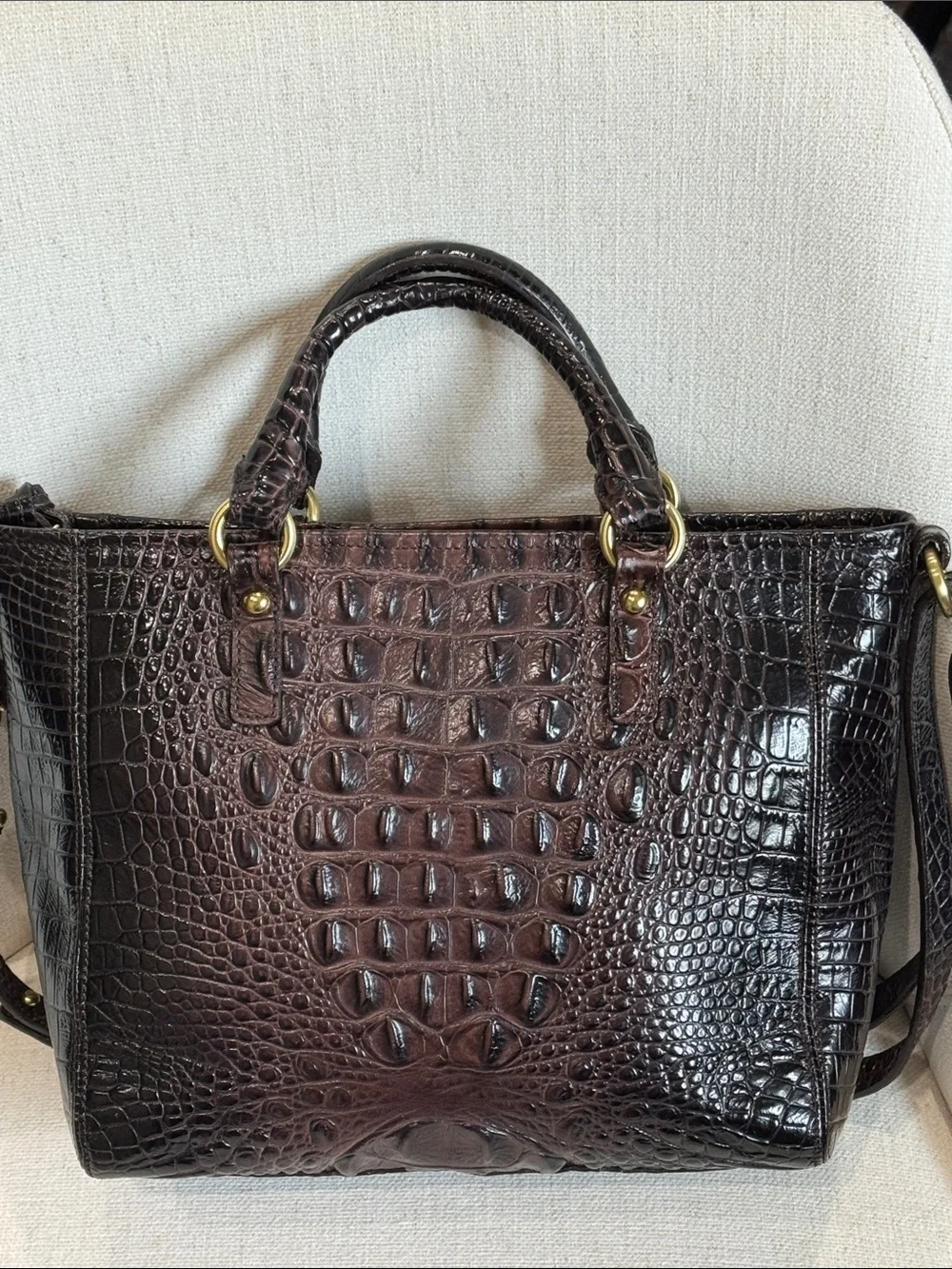 Brahmin structured satchel